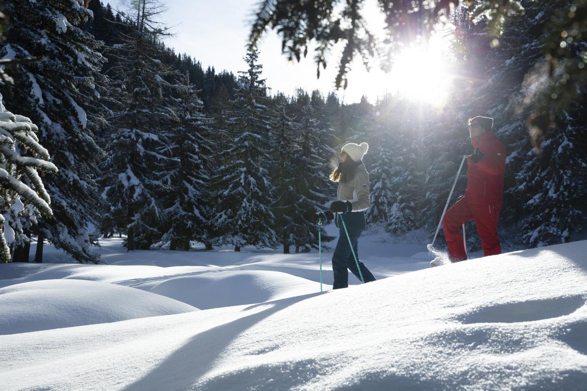Ancolie * La Plagne