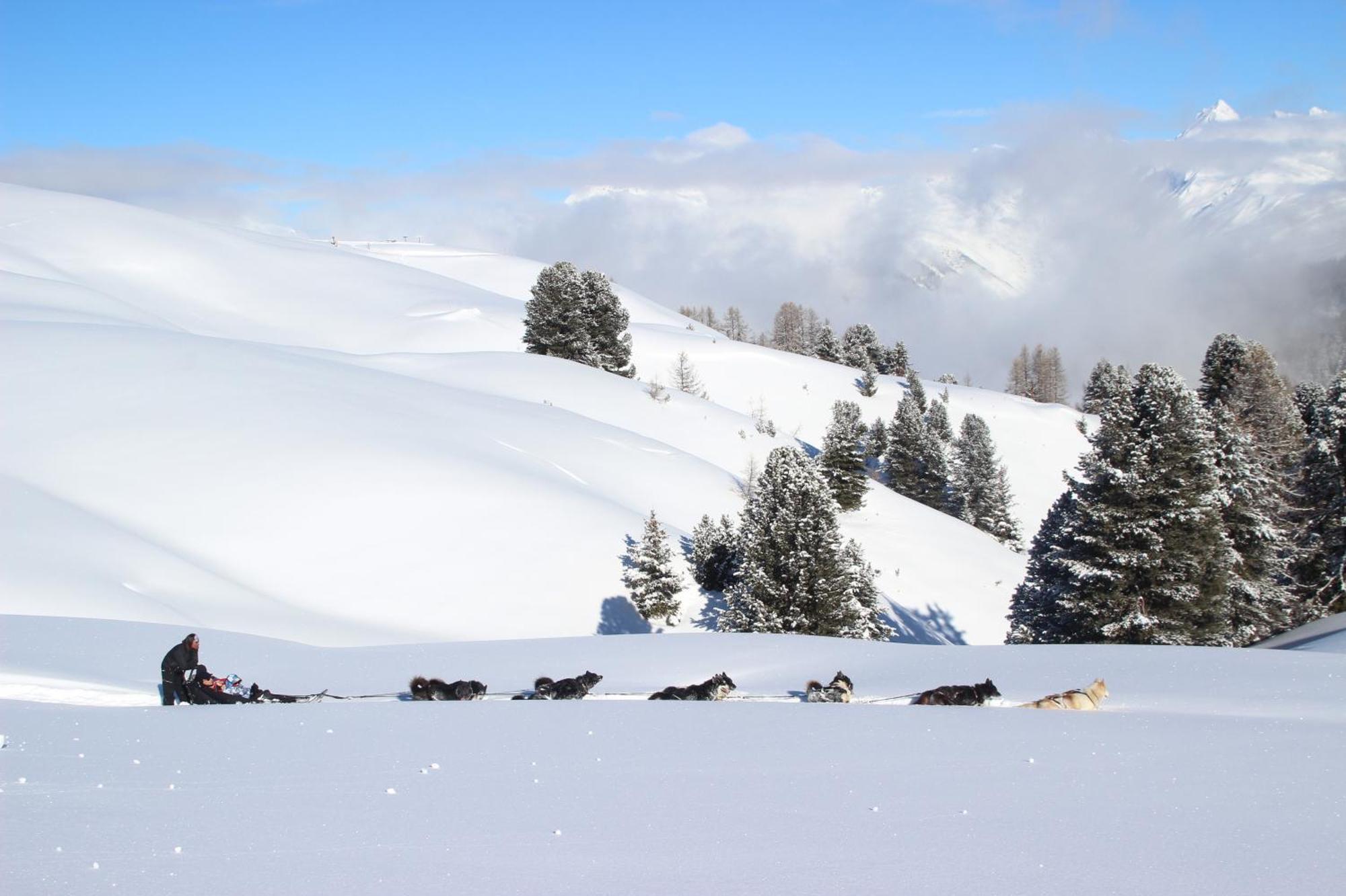 Ancolie Apartamento La Plagne
